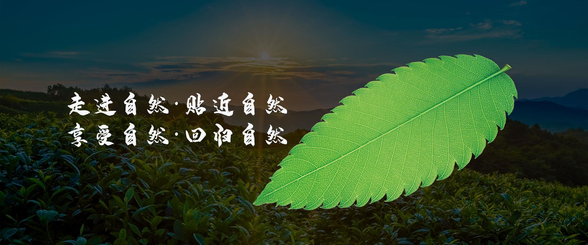 百草,植物纤维,功能纤维,大生物纤维