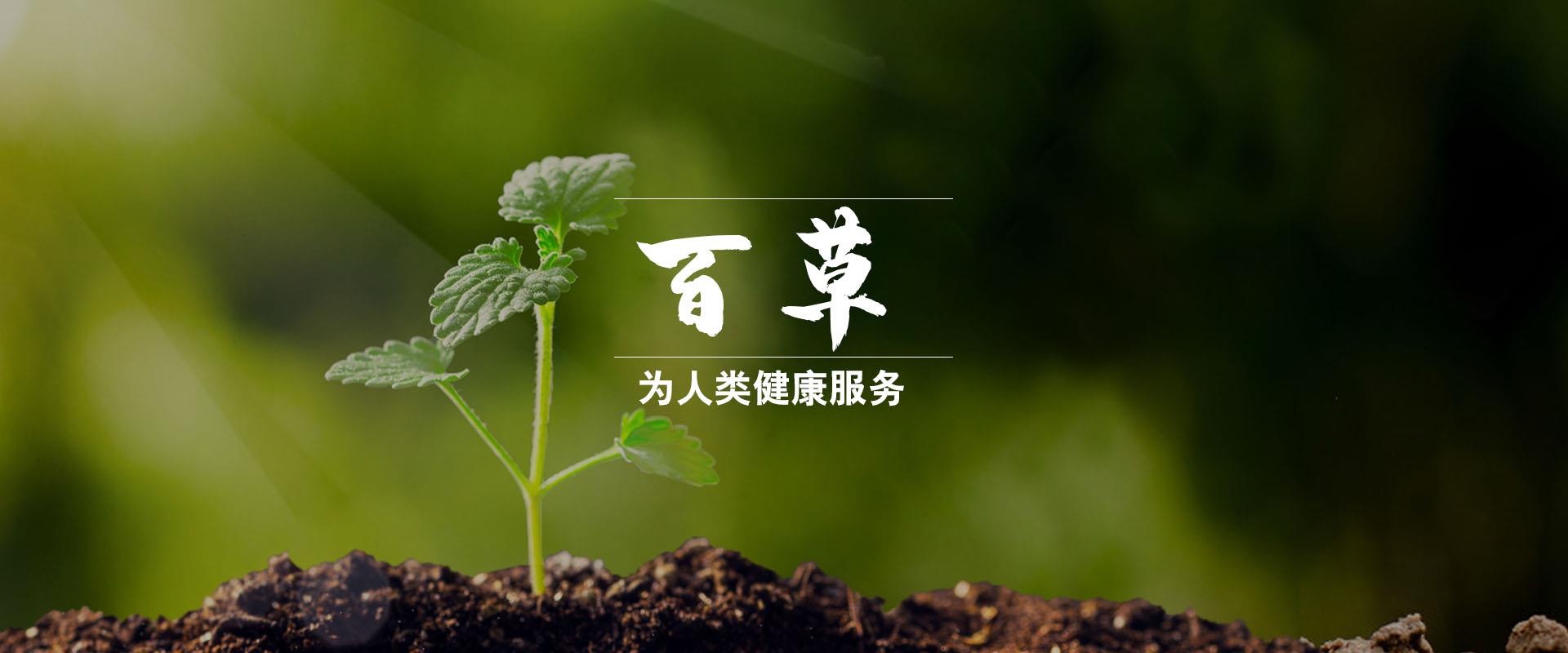 百草,植物纤维,功能纤维,大生物纤维