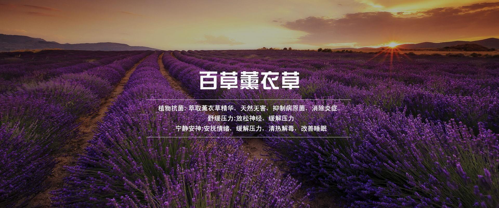 百草,植物纤维,功能纤维,大生物纤维